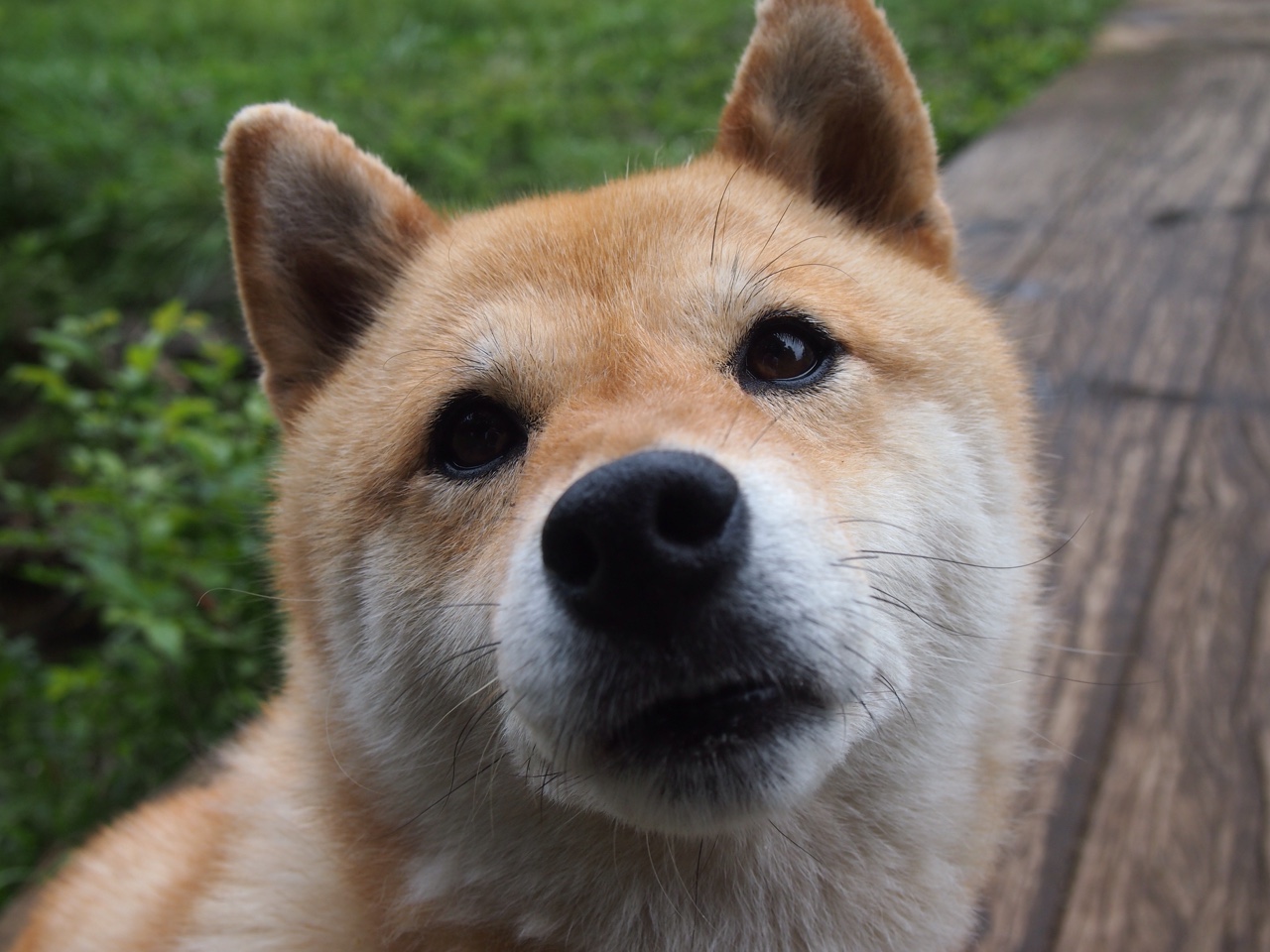 命运交叉的48小时，篮网的极限复仇与塔图姆的权杖加冕