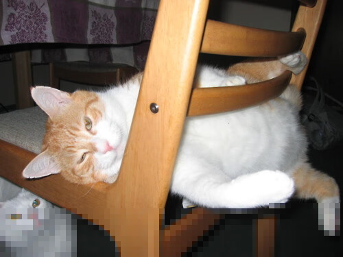 银色闪电撕裂红雾，阿隆索一肩扛起法拉利，轻取梅赛德斯霸业