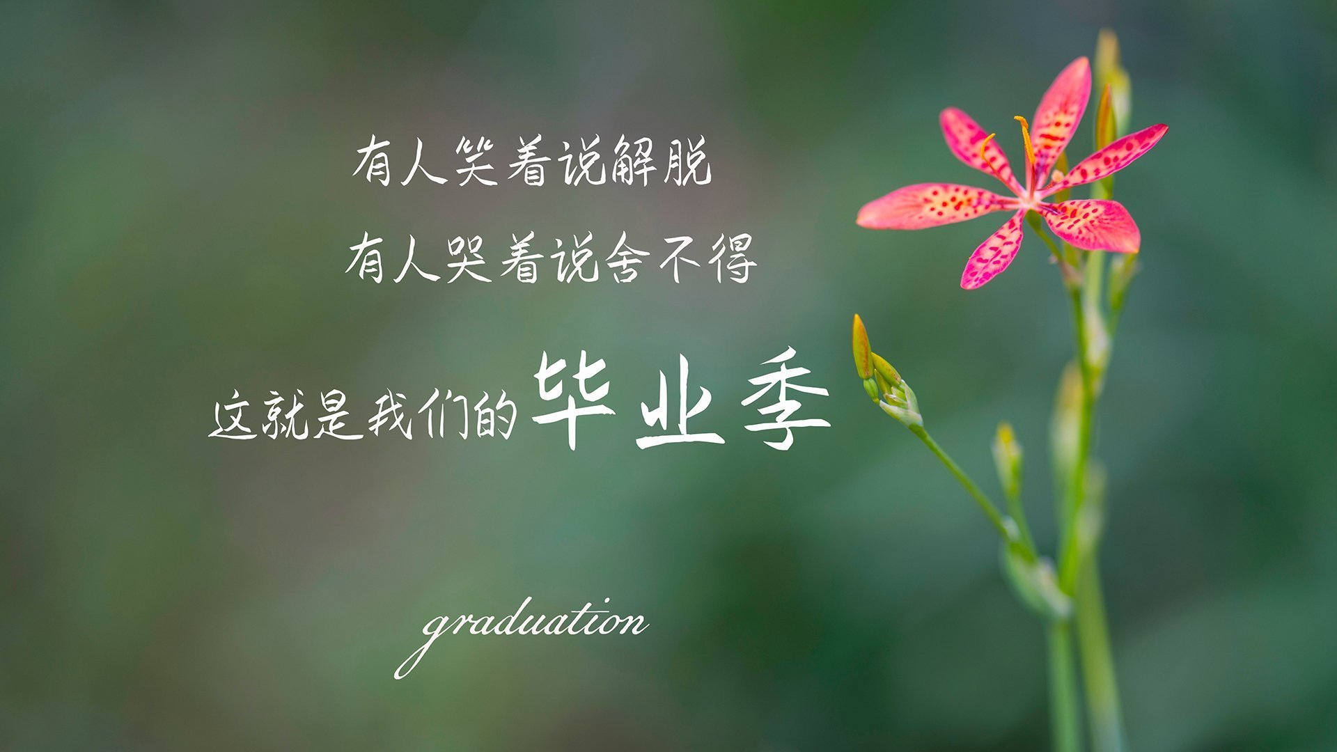 终结的艺术，从灰熊提前扼杀山西到范弗利特抢七封神