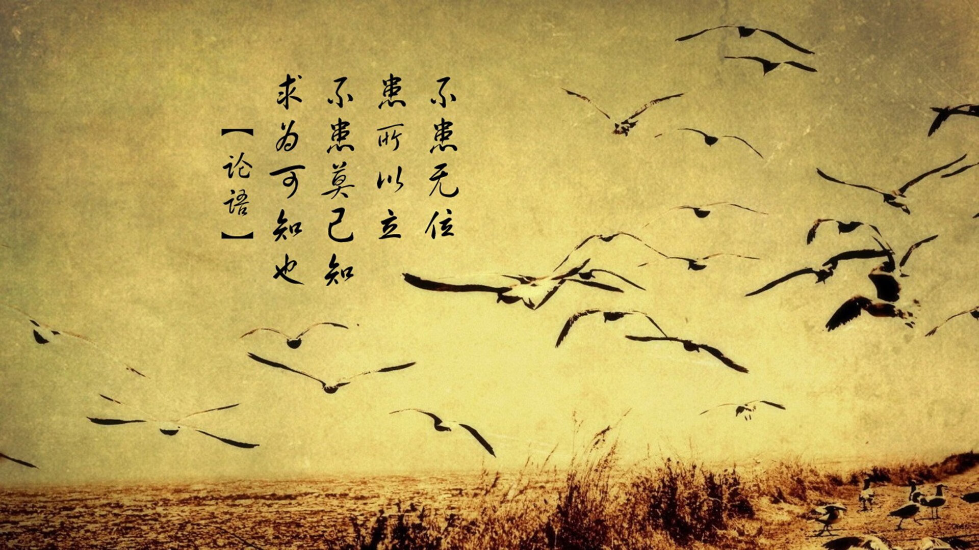 血拼深圳，接管欧冠，篮球场上的意志之战