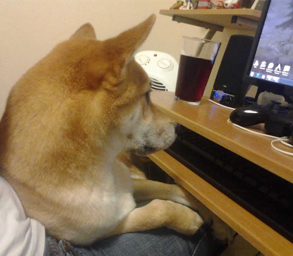 黄金时代的最后回响,当传奇老将主宰关键战役