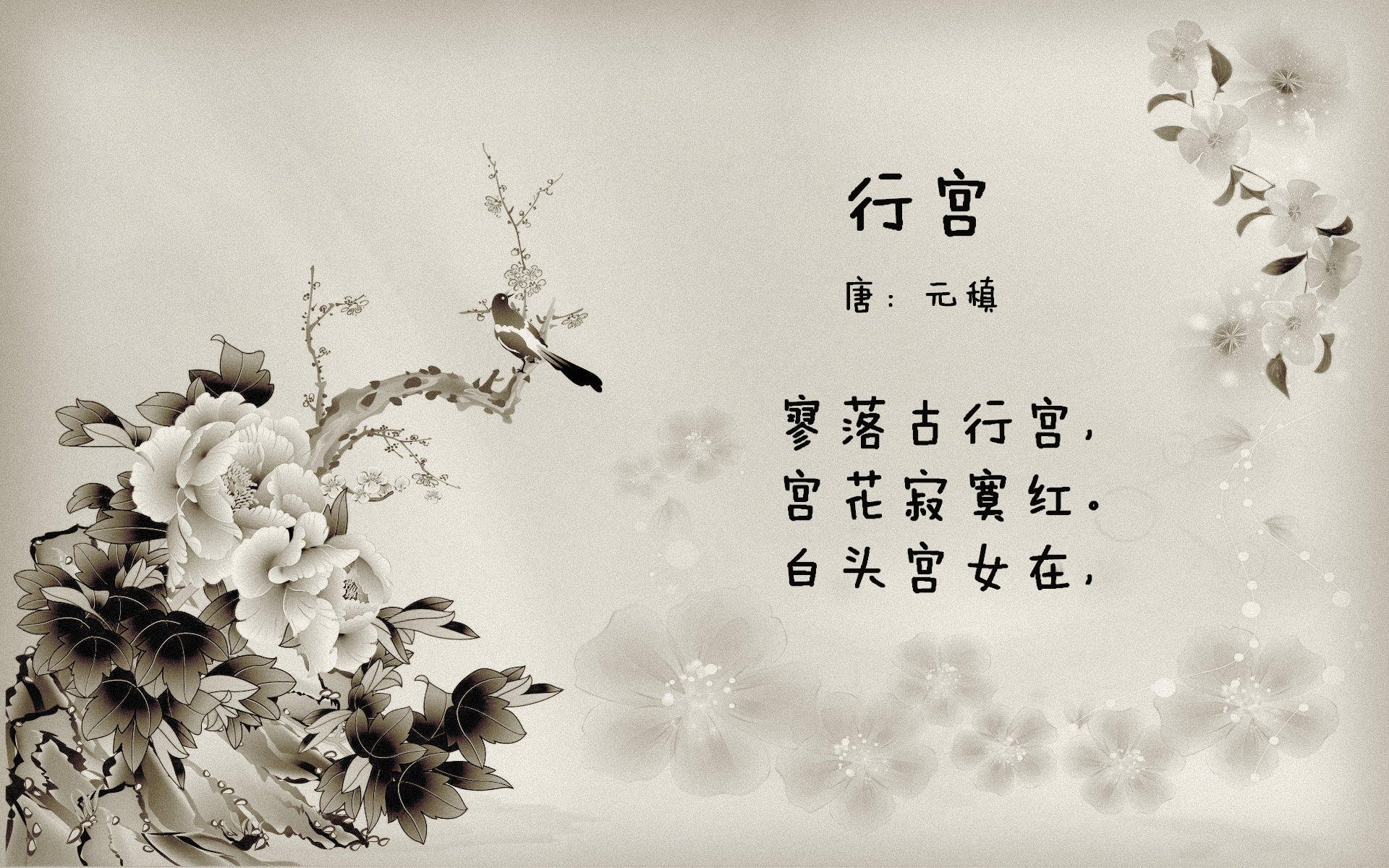 黑金烙印,热火绝境淬炼的决胜局美学