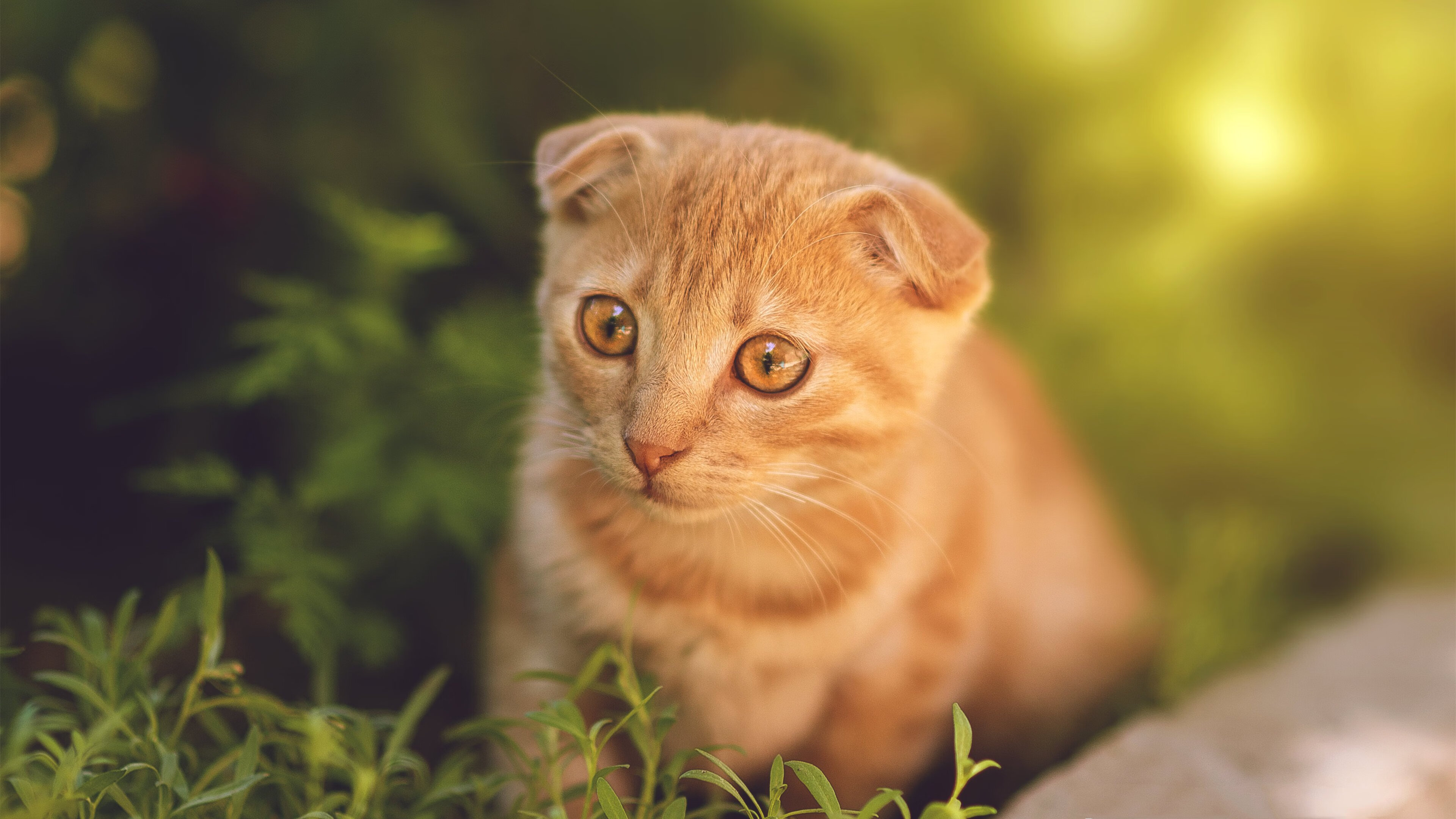 爱游戏tv-平行宇宙的篮球奇迹，山西队如何冲垮掘金，班凯罗变身关键先生