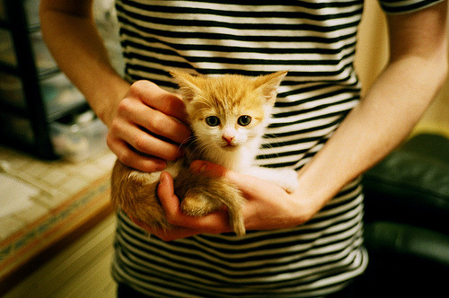 爱游戏tv-铁幕降临！欧冠决赛夜的隐形主宰，布伦森的压制级表演如何改写历史