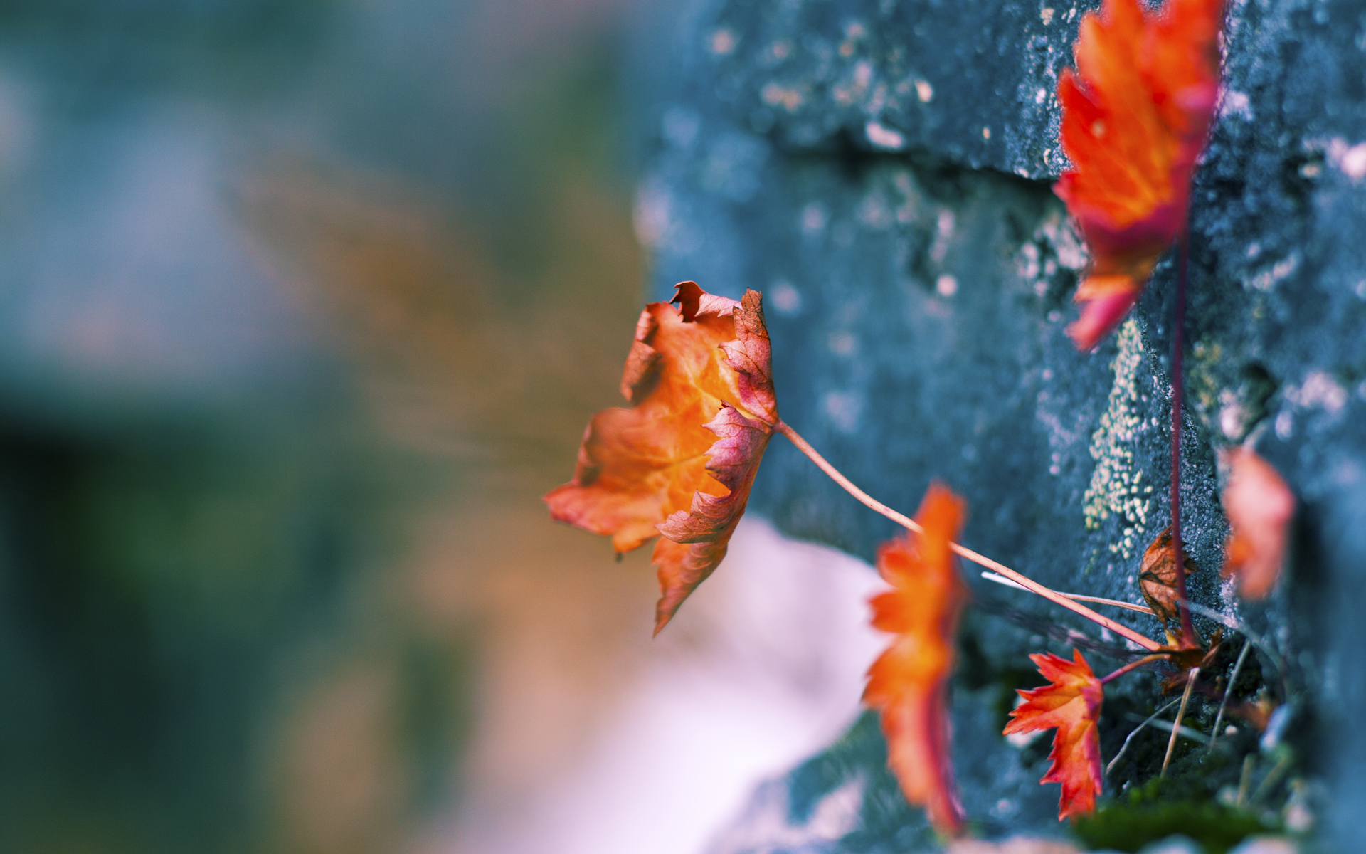 铁血与智慧的较量,乌克兰强压德国,基米希连续得分拉开差距