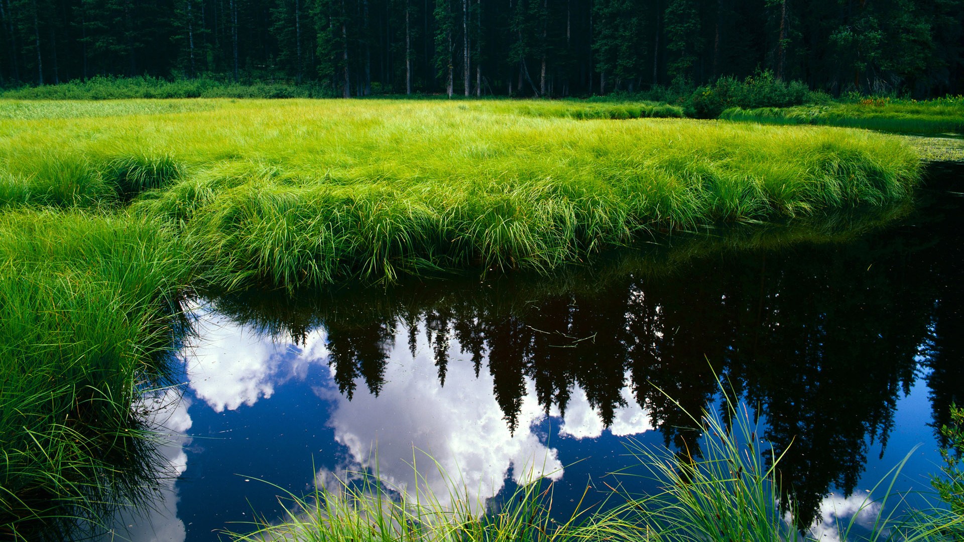 硬仗克敌!中国上海队惊天逆转洛杉矶快船,恩比德化身关键先生
