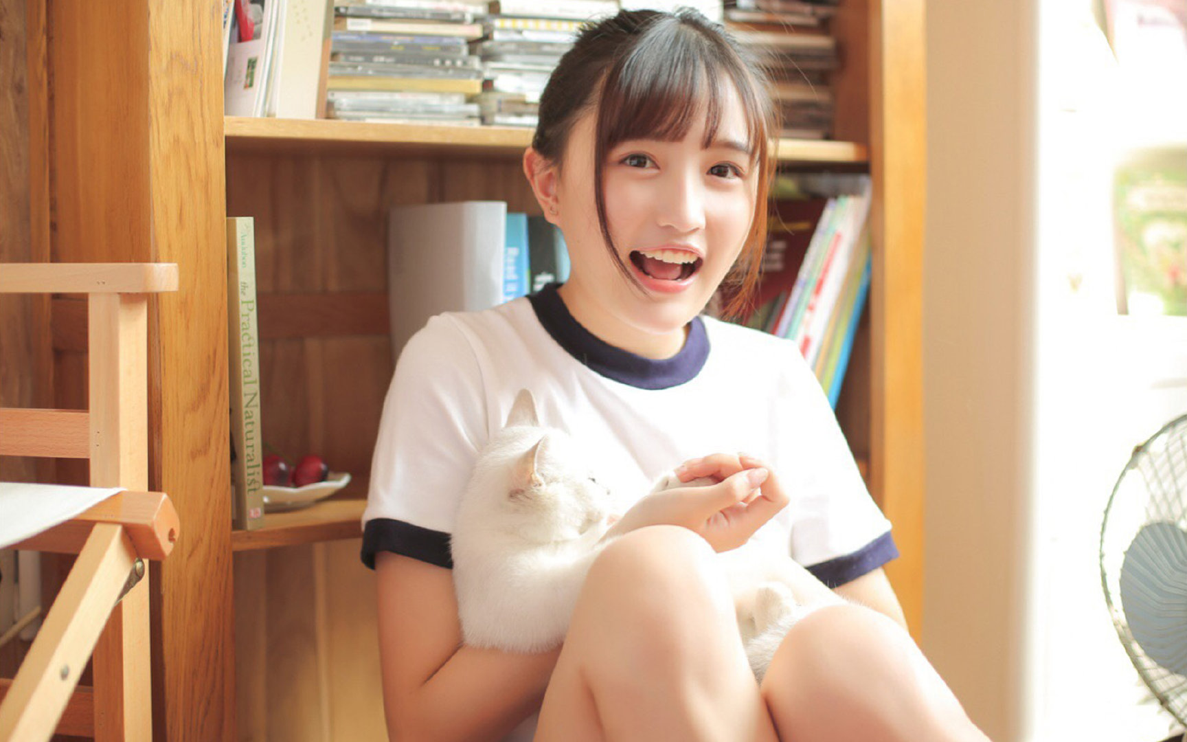 单节封印，抢七夜凯尔特人如何用12分钟改写王朝与悲歌