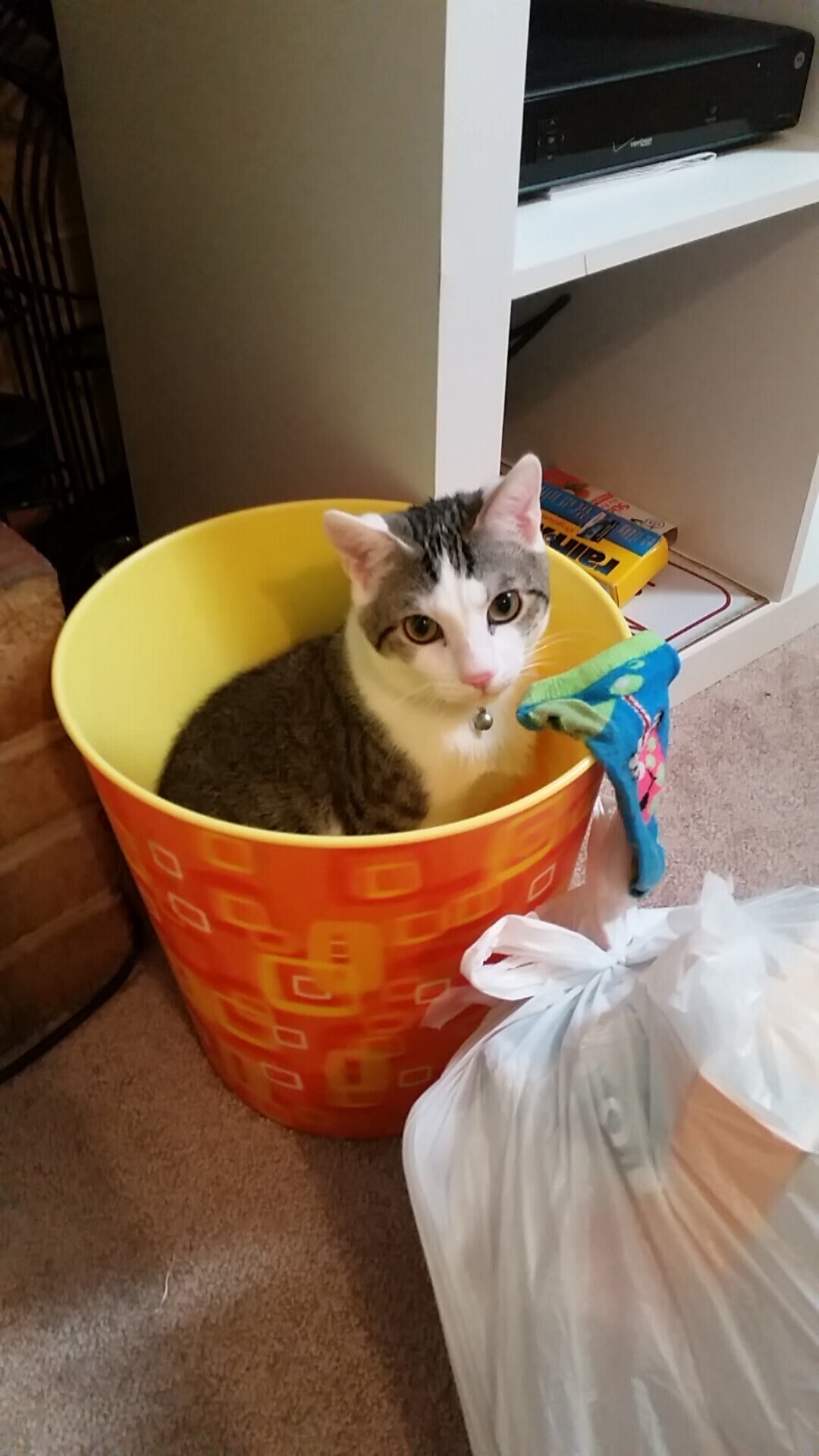 文班亚马对阵火箭的震撼表演，重新定义现代篮球教科书