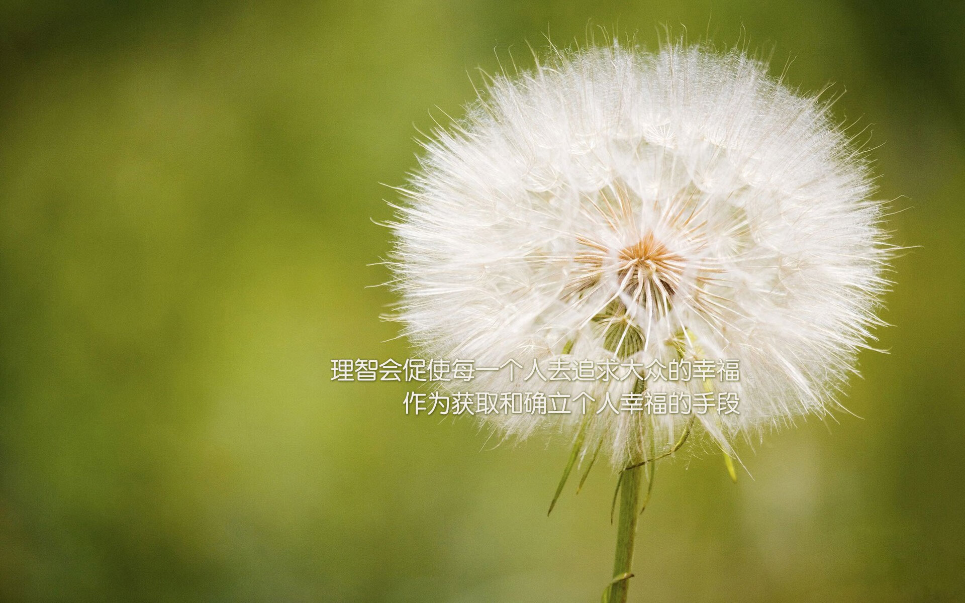 沉默的日耳曼战车,当匈牙利在2026世界杯C组写下压制的另一种注脚