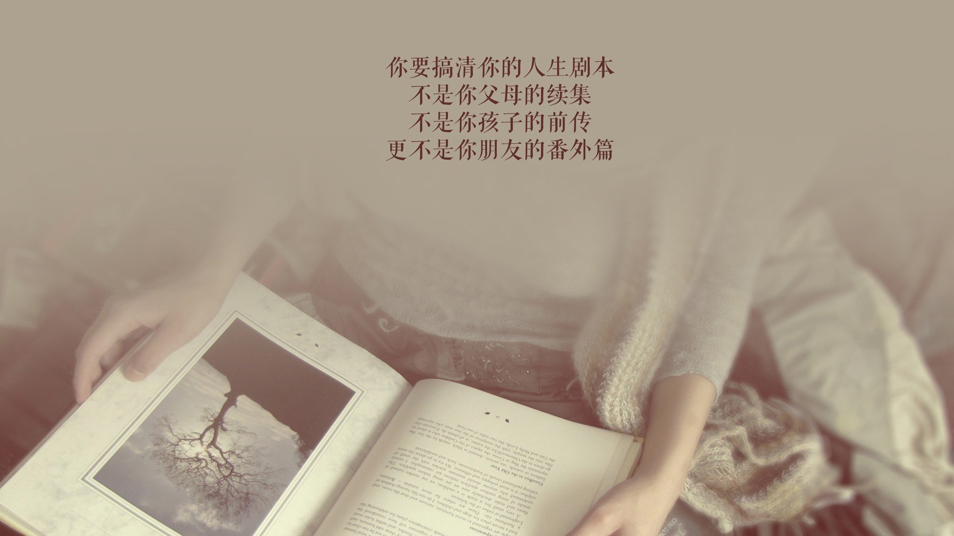 蓝黄风暴中的孤星